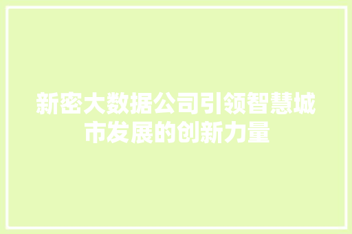 新密大数据公司引领智慧城市发展的创新力量
