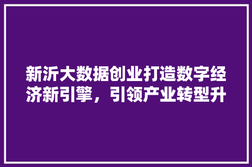 新沂大数据创业打造数字经济新引擎，引领产业转型升级