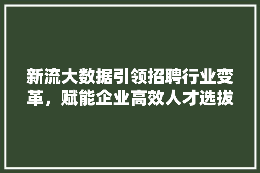 新流大数据引领招聘行业变革，赋能企业高效人才选拔