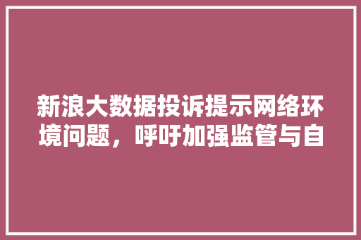 新浪大数据投诉提示网络环境问题，呼吁加强监管与自律