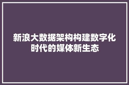 新浪大数据架构构建数字化时代的媒体新生态