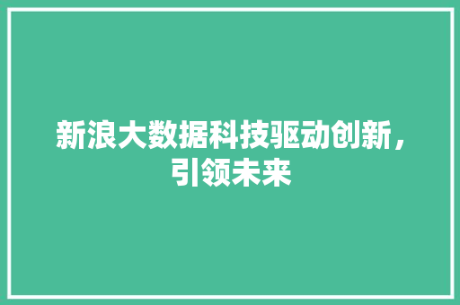 新浪大数据科技驱动创新，引领未来