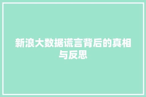 新浪大数据谎言背后的真相与反思