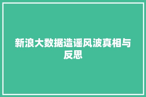 新浪大数据造谣风波真相与反思
