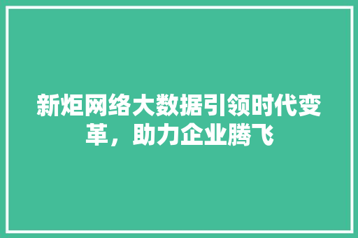 新炬网络大数据引领时代变革，助力企业腾飞