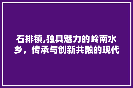 石排镇,独具魅力的岭南水乡，传承与创新共融的现代化新城