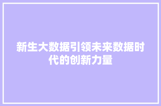 新生大数据引领未来数据时代的创新力量