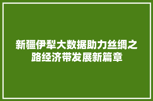 新疆伊犁大数据助力丝绸之路经济带发展新篇章