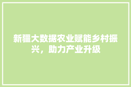 新疆大数据农业赋能乡村振兴，助力产业升级