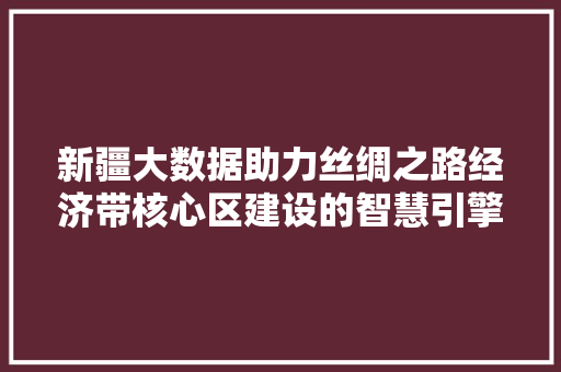 新疆大数据助力丝绸之路经济带核心区建设的智慧引擎
