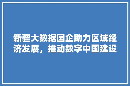 新疆大数据国企助力区域经济发展，推动数字中国建设