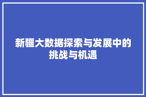 新疆大数据探索与发展中的挑战与机遇