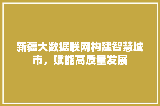 新疆大数据联网构建智慧城市，赋能高质量发展