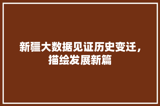 新疆大数据见证历史变迁，描绘发展新篇