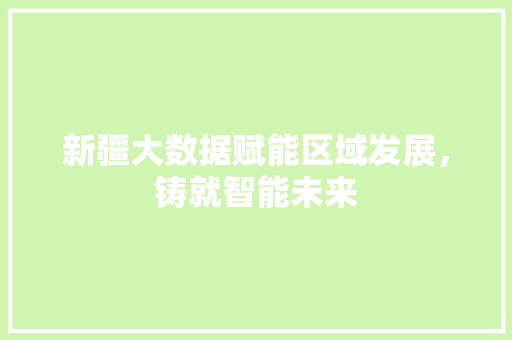 新疆大数据赋能区域发展，铸就智能未来