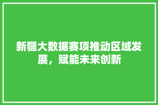 新疆大数据赛项推动区域发展，赋能未来创新