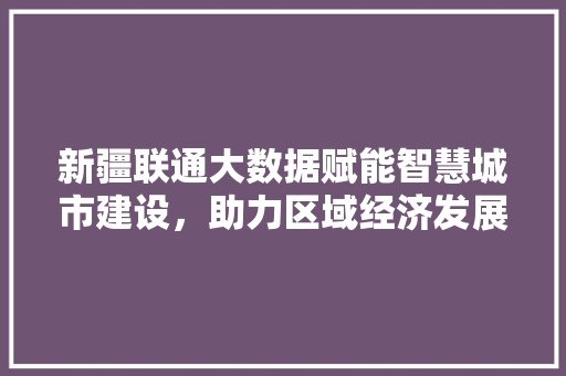 新疆联通大数据赋能智慧城市建设，助力区域经济发展