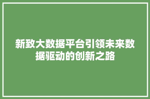 新致大数据平台引领未来数据驱动的创新之路