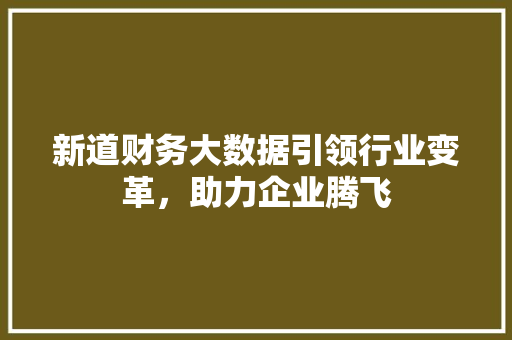 新道财务大数据引领行业变革，助力企业腾飞