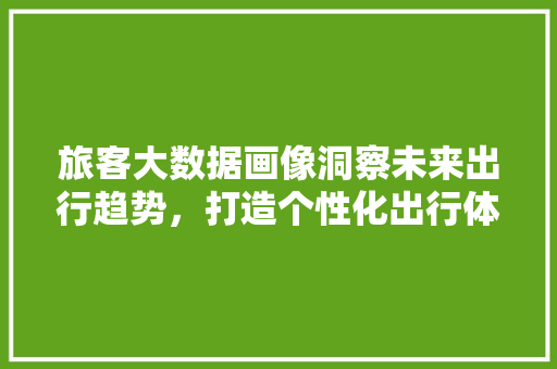 旅客大数据画像洞察未来出行趋势，打造个性化出行体验