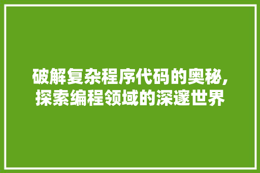 破解复杂程序代码的奥秘,探索编程领域的深邃世界