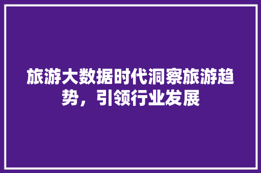 旅游大数据时代洞察旅游趋势，引领行业发展 友链在线