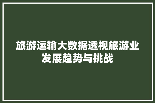 旅游运输大数据透视旅游业发展趋势与挑战