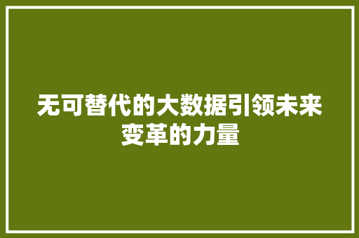 无可替代的大数据引领未来变革的力量 SEO教程