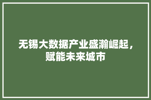 无锡大数据产业盛瀚崛起，赋能未来城市