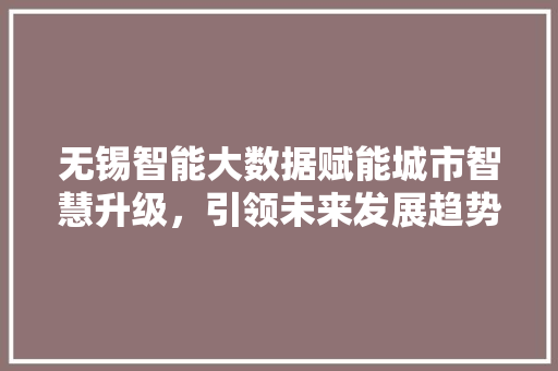 无锡智能大数据赋能城市智慧升级，引领未来发展趋势 服务器/数据库