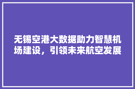 无锡空港大数据助力智慧机场建设，引领未来航空发展 SEO教程