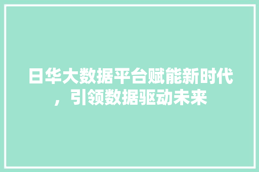 日华大数据平台赋能新时代，引领数据驱动未来 建站教程