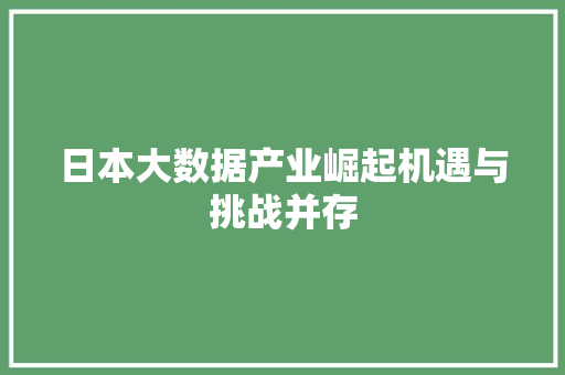 日本大数据产业崛起机遇与挑战并存