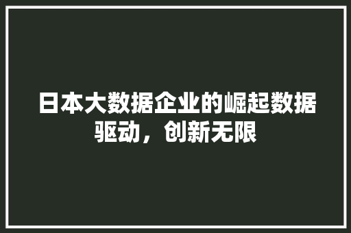 日本大数据企业的崛起数据驱动，创新无限