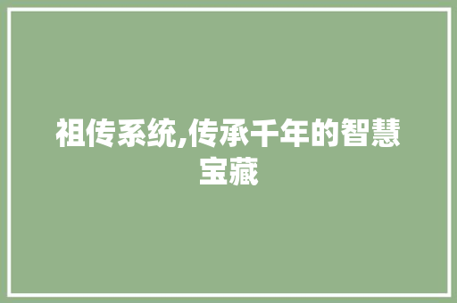 祖传系统,传承千年的智慧宝藏 祖传系统,传承千年的智慧宝藏 友链在线