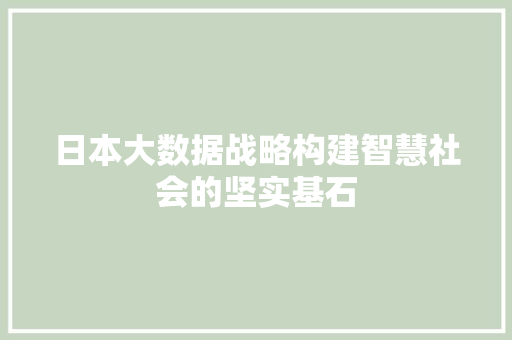 日本大数据战略构建智慧社会的坚实基石 SEO教程
