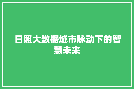 日照大数据城市脉动下的智慧未来