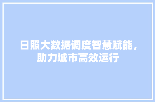 日照大数据调度智慧赋能，助力城市高效运行