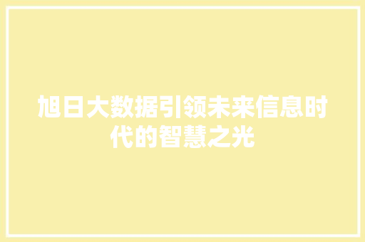 旭日大数据引领未来信息时代的智慧之光