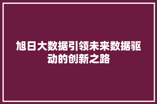 旭日大数据引领未来数据驱动的创新之路