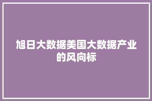 旭日大数据美国大数据产业的风向标 WordPress教程