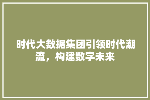 时代大数据集团引领时代潮流，构建数字未来 友链在线