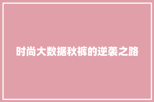 时尚大数据秋裤的逆袭之路 SEO教程