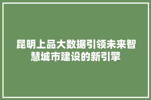 昆明上品大数据引领未来智慧城市建设的新引擎 建站教程