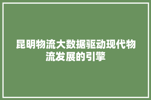 昆明物流大数据驱动现代物流发展的引擎