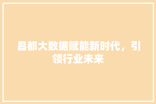 昌都大数据赋能新时代，引领行业未来