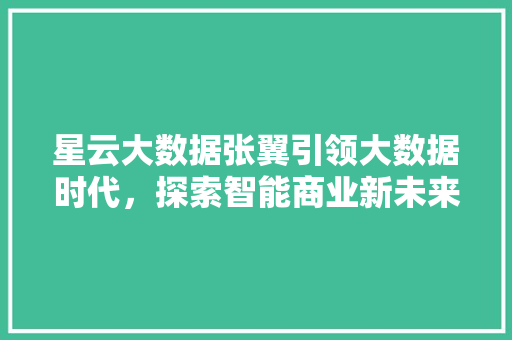 星云大数据张翼引领大数据时代，探索智能商业新未来 Web前端