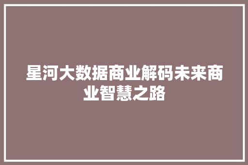 星河大数据商业解码未来商业智慧之路 SEO教程