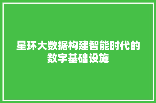 星环大数据构建智能时代的数字基础设施
