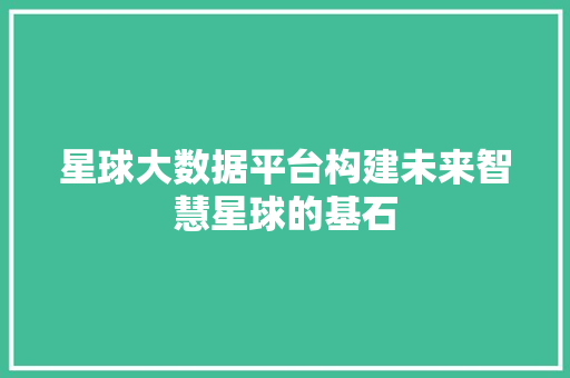 星球大数据平台构建未来智慧星球的基石